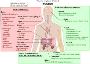 Possible long-term effects of ethanol.svg