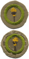Public Health merit badge, type B.png
