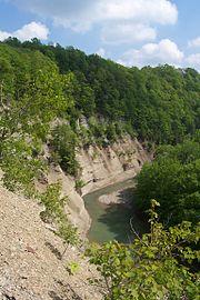 Zoar Valley South Branch Gorge.jpg