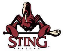 ArizonaSting.jpg