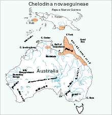 Chelodina novaeguineae distribution map.svg