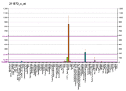 PBB GE TGM2 211573 x at fs.png