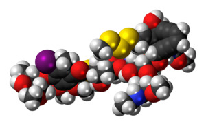 Ball-and-stick model of the Calicheamicin γ1 molecule