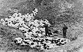 German officer executes Jewish women who survived a mass shooting outside the Mizocz ghetto, 14 October 1942.jpg
