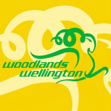 Woodlands Wellington Football Club logo.png