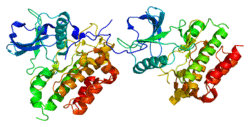 Protein KIT PDB 1pkg.png