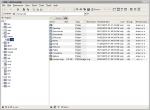 Xfe 1.37 in Debian GNU/Linux