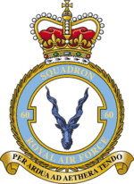 Squadron badge