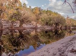 Along the Suwannee - panoramio (1).jpg