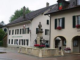 Gingins Croix blanche.JPG