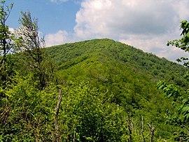 Silers-bald-from-narrows1.jpg