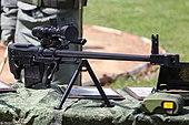ASVK Kord-M 6V7M - 4thTankDivisionOpenDay17p2-28.jpg