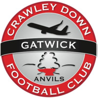 Crawley Down Gatwick F.C. logo.png