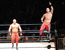 Basham Brothers Live in Rosemont.jpg