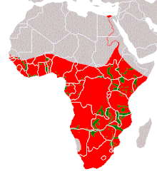 Hippo distribution.gif