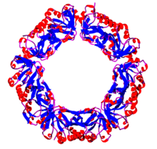 Peroxiredoxin.png