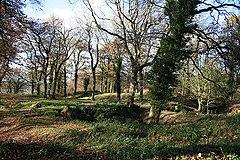 Staple Fitzpaine - Castle Neroche - geograph.org.uk - 280579.jpg