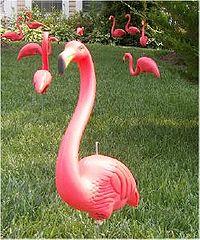 Flamingo 1.jpg