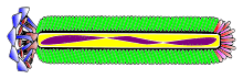 M13B.svg