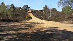 Steep track going north on Hankley Common - geograph.org.uk - 1249952.jpg