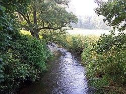 Bourne Brook At Hints - geograph.org.uk - 981946.jpg