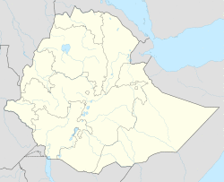 Nekemte is located in Ethiopia