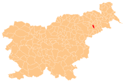 Location of the Municipality of Hajdina in Slovenia