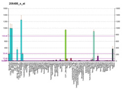 PBB GE CD36 206488 s at fs.png