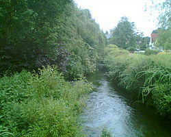 River Wye Wooburn.jpg