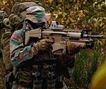 SFG 32.jpg