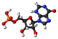 Ball-and-stick model of the inosinic acid molecule