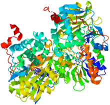 MonoamineOxidase-1GOS.png