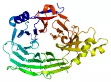 Protein NUP133 PDB 1xks.png