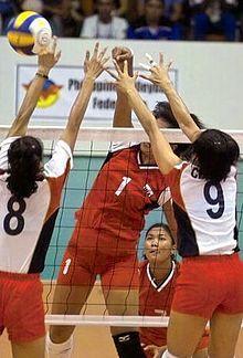 Sea games volleyball1.jpg