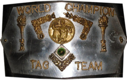 NWA World Tag Team Title Detroit.png
