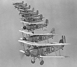 Blackburn Baffin RAF 1934-p013894-B-Baffin.jpg
