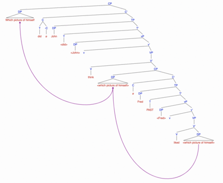 Syntax Tree- Reconstruction effects of vP phase.png