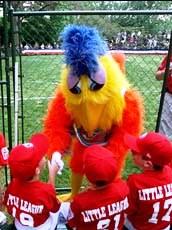 SDChicken crop.jpg