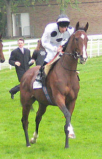 Soviet Song racehorse.jpg