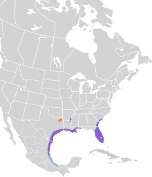 Anas fulvigula map.svg