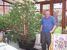 Jade-Emyr jones-Port Merrion.jpg