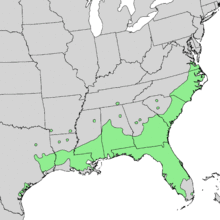 Quercus laurifolia range map 1.png