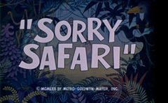 SorrySafari.jpg