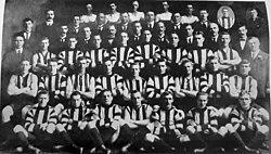 Collingwood team 1917.jpg