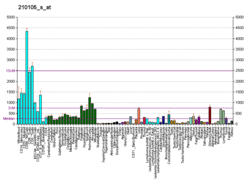 PBB GE FYN 210105 s at fs.png