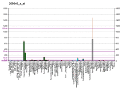 PBB GE PAX6 205646 s at fs.png