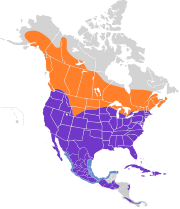 Buteo jamaicensis map.svg