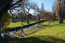 Walking the Dog (14393715415).jpg