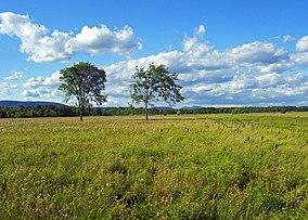 Shawangunk Grasslands NWR.jpg
