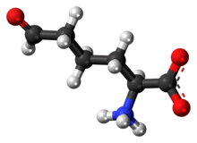 Ball-and-stick model of the L-allysine molecule as a zwitteiron